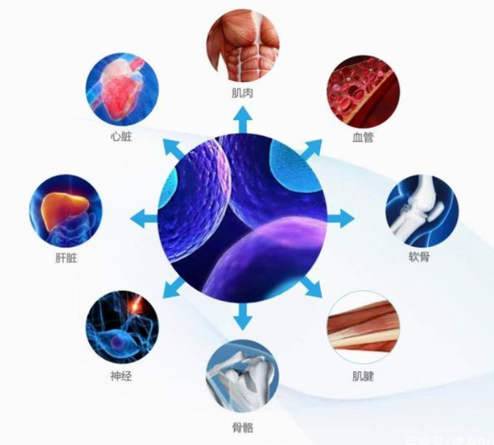 微信图片_20230201141747.png
